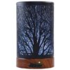 EQUSUPRO Essential Oil Diffuser 100ml