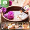 Essential Oils Set YESMET 100% Pure Natural Aromatherapy