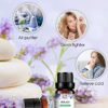 iKALULA 14 10mL Pure Aromatherapy Essential Oils