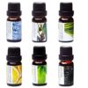 Essential Oils by PURE AROMA 100% Pure Therapeutic Grade Oils kit