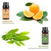 Lagunamoon Essential Oils Top 6 Gift Set