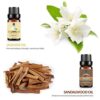 Lagunamoon Premium Essential Oils Set