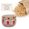 Ouddy 4 Pack Scented Candles Set, Nature Soy Wax Candles