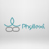 PHYLLEXI Yoga Wheel for Stretching