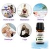 Elevate Your Senses with Our Top 12 Premium Essential Oils Set